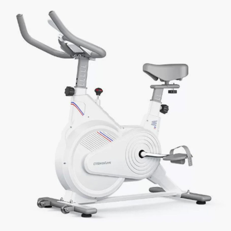 Exercise Bike Magnetic Resistance - Vélo de spinning d'intérieur, vélo d'exercice