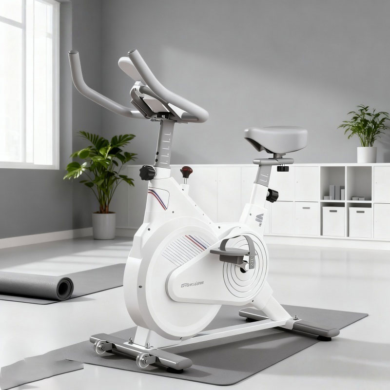 Vélo de spinning d'intérieur,  - Exercise Bike Magnetic Resistance avis et prix